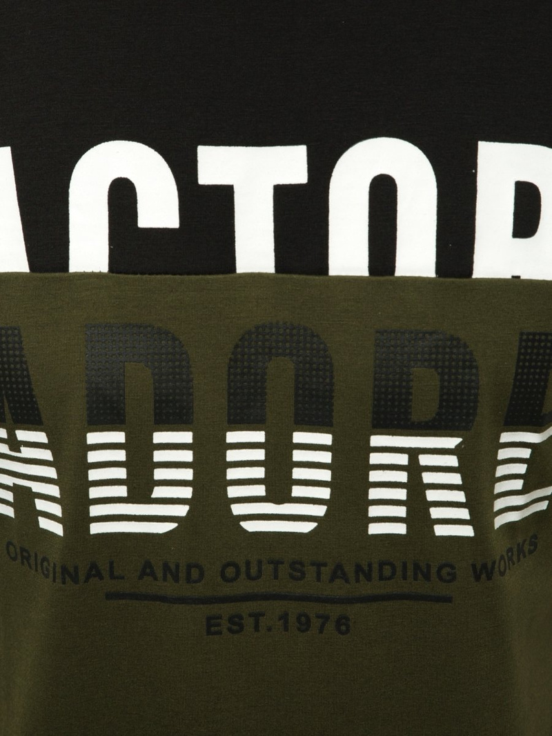 Pánské Tričko Zelené OZONEE JS/SS11106Z