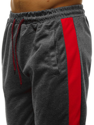 Pánské Tepláky Grafitové OZONEE JS/JZ11013