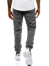 Pánské Tepláky Grafitové OZONEE JS/JZ11019