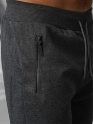 Pánské Tepláky Grafitové OZONEE JS/15K1835/5